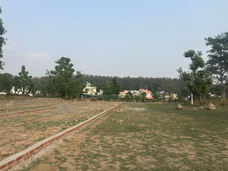  200 Sq. Yards Residential Plot for Sale in Bhauwala, Dehradun