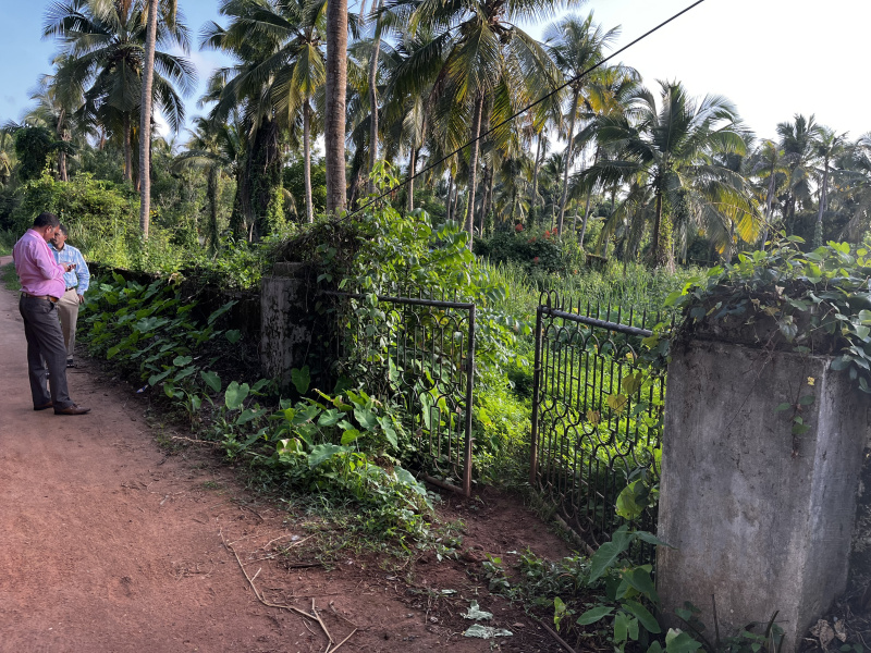  Commercial Land 3 Acre for Sale in Mulur, Udupi