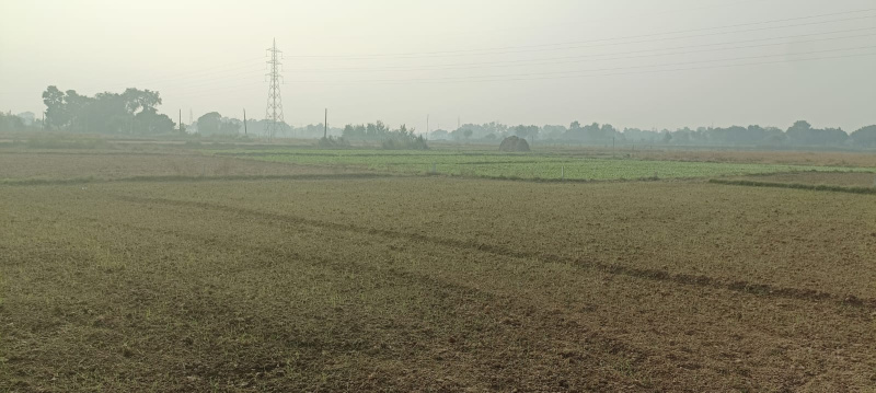  Residential Plot 1000 Sq.ft. for Sale in Bihta, Patna