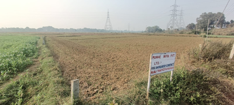  Residential Plot 1000 Sq.ft. for Sale in Bihta, Patna