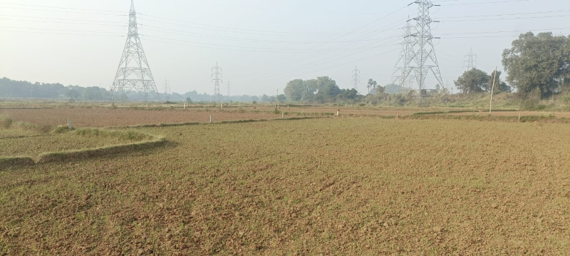  Residential Plot 800 Sq.ft. for Sale in Bihta, Patna