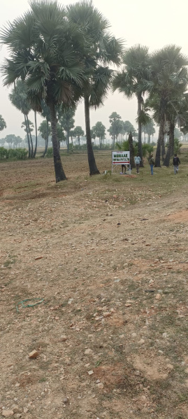  Residential Plot 1800 Sq.ft. for Sale in Bihta, Patna