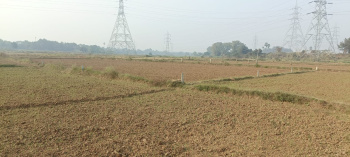  Residential Plot for Sale in Bihta, Patna