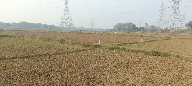  Residential Plot 1700 Sq.ft. for Sale in Bihta, Patna