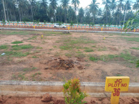  Residential Plot for Sale in Morampudi, Rajahmundry