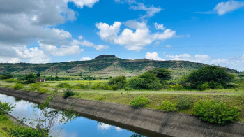  Agricultural Land for Sale in Phaltan, Satara