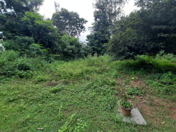  Agricultural Land for Sale in Athagad, Cuttack