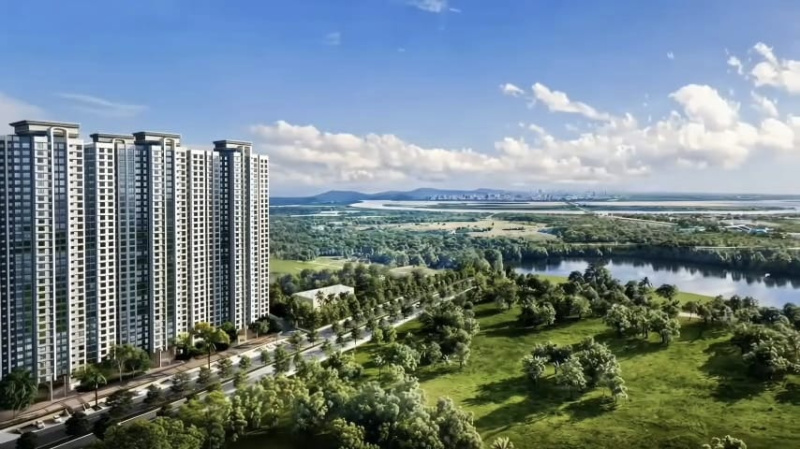 1 BHK 323 Sq.ft. Apartment for Sale in Naigaon East, Mumbai