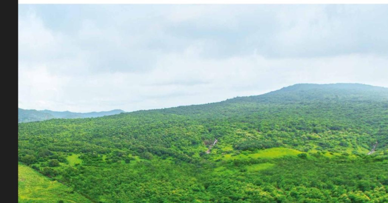 4 BHK 2034 Sq.ft. Apartment for Sale in Kandivali East, Mumbai