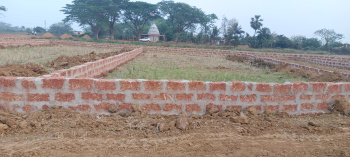  Residential Plot for Sale in Pitapalli, Bhubaneswar