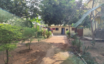  Residential Plot for Sale in Jagdalpur, Bastar