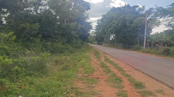  Agricultural Land for Sale in Kanakapura Road, Bangalore