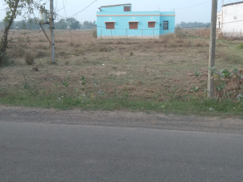  5 Dismil Residential Plot for Sale in Chandipur Road, Baleswar