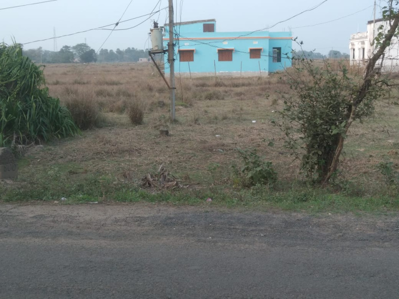  5 Dismil Residential Plot for Sale in Chandipur Road, Baleswar