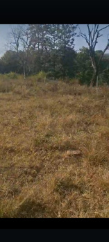  Residential Plot for Sale in Jodi Gaon, Dehradun