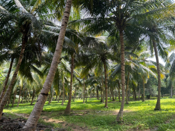  Agricultural Land for Sale in Marakkanam, Villupuram