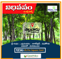  Agricultural Land for Sale in Vinukonda, Guntur