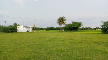  Agricultural Land for Sale in Madurantakam, Kanchipuram