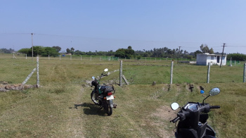  Agricultural Land for Sale in Acharapakkam, Kanchipuram