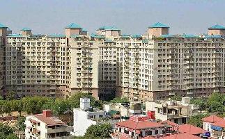 1 BHK House for Sale in DLF Phase IV, Gurgaon