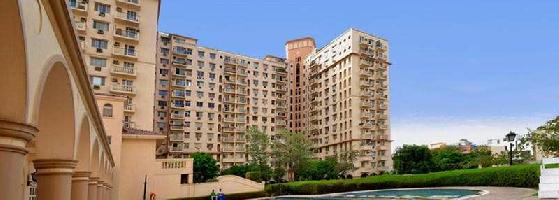 2 BHK Flat for Rent in DLF Phase II, Gurgaon