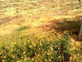  Residential Plot for Sale in Sun City, Sector 54 Gurgaon