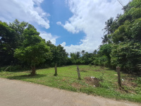  Residential Plot for Sale in Koduvayur, Palakkad