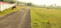  Residential Plot for Sale in Abhiramapuram, Chennai