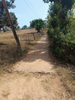  Agricultural Land for Sale in Virajpet, Kodagu