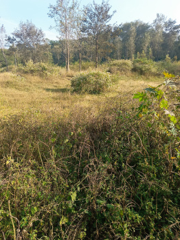  Agricultural Land for Sale in Kushalnagar, Kodagu