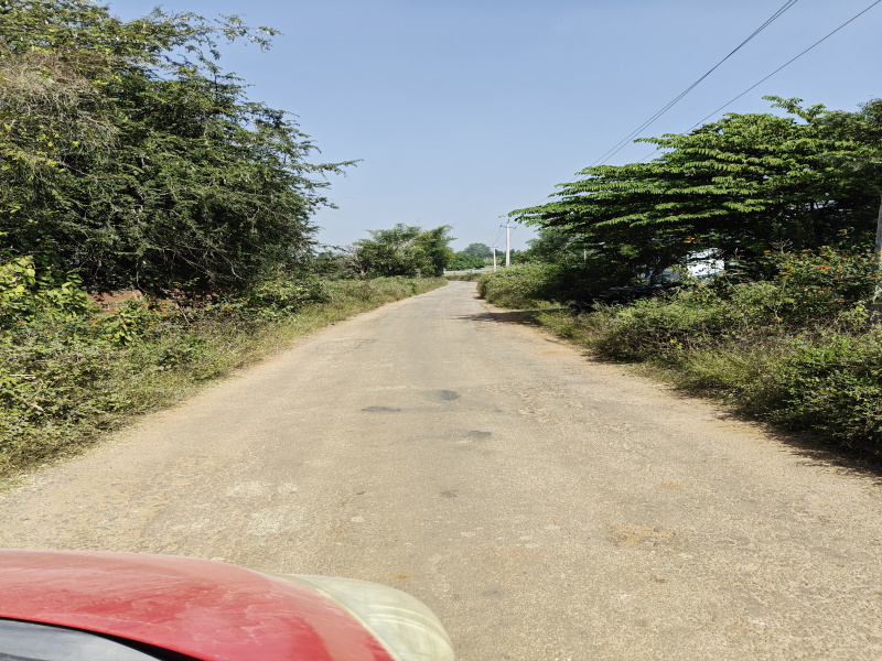  Agricultural Land 6 Acre for Sale in Bogadi Gaddige Road, Mysore