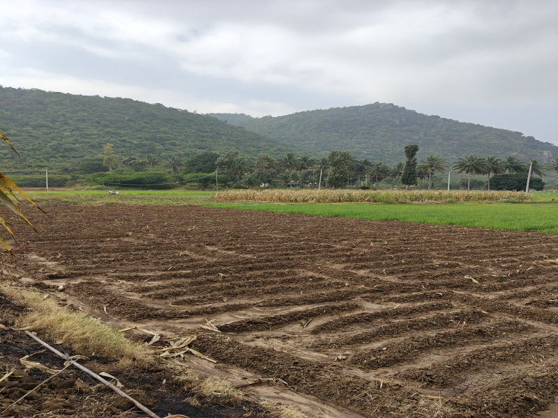  Agricultural Land 2 Acre for Sale in Kollegal, Chamrajnagar