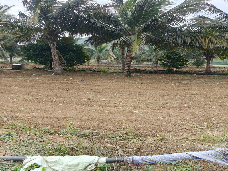  Agricultural Land 2 Acre for Sale in Kollegal, Chamrajnagar