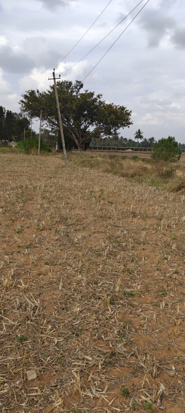  Agricultural Land 2 Acre for Sale in Manchenahalli, ChikBallapur