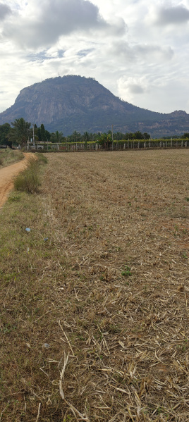  Agricultural Land 2 Acre for Sale in Manchenahalli, ChikBallapur