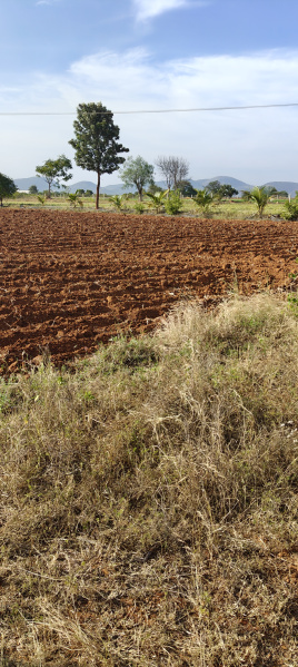  Agricultural Land 10 Acre for Sale in Kollegal, Chamrajnagar