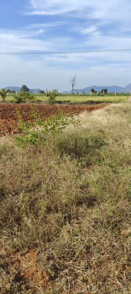  Agricultural Land 10 Acre for Sale in Kollegal, Chamrajnagar