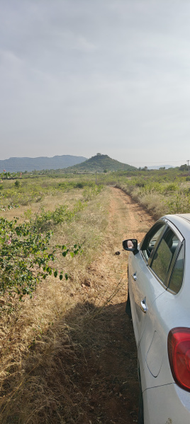  Agricultural Land 3 Acre for Sale in Hanur, Chamrajnagar