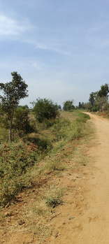  Agricultural Land for Sale in Hunsur Road, Mysore