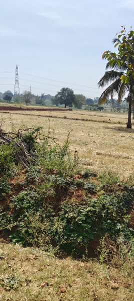  Agricultural Land 1 Acre for Sale in Hunsur Road, Mysore