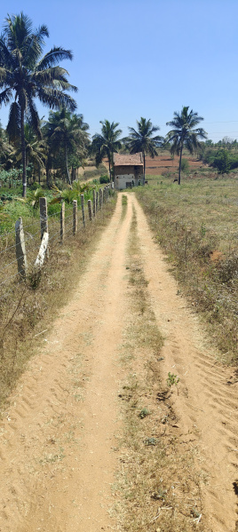  Agricultural Land 2 Acre for Sale in Hunsur Road, Mysore