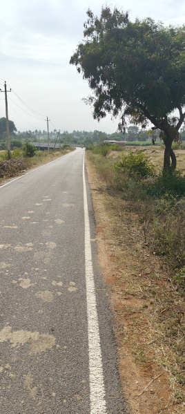  Agricultural Land 20 Guntha for Sale in Hunsur Road, Mysore