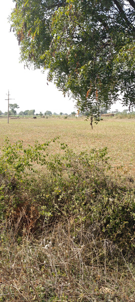  Agricultural Land 20 Guntha for Sale in Hunsur Road, Mysore