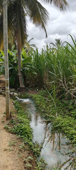  Agricultural Land 3 Acre for Sale in Kollegal, Chamrajnagar