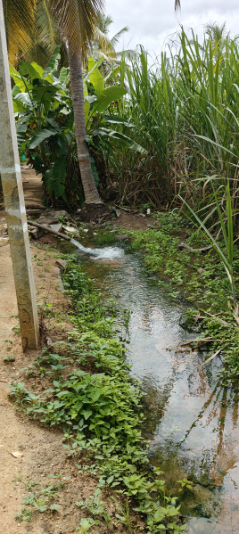  Agricultural Land 3 Acre for Sale in Kollegal, Chamrajnagar