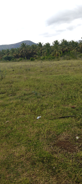  Agricultural Land 3 Acre for Sale in Kollegal, Chamrajnagar