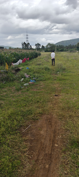  Agricultural Land 3 Acre for Sale in Kollegal, Chamrajnagar