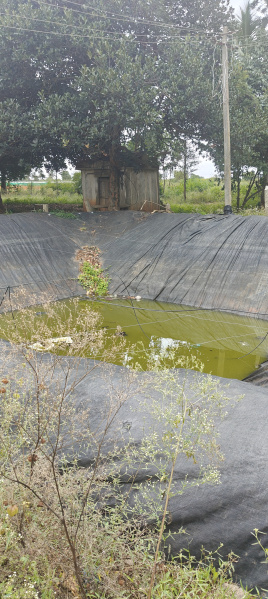  Agricultural Land 2 Acre for Sale in Gudibanda, ChikBallapur