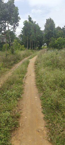 Agricultural Land 2 Acre for Sale in Gudibanda, ChikBallapur