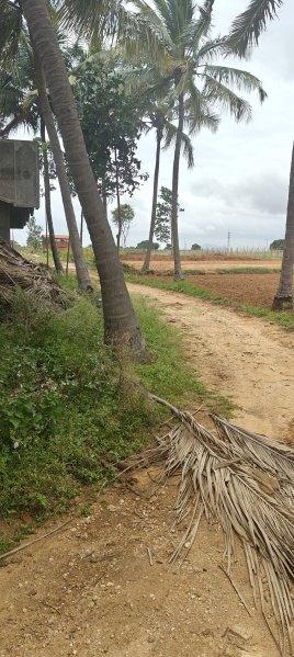  Agricultural Land 2 Acre for Sale in Gudibanda, ChikBallapur